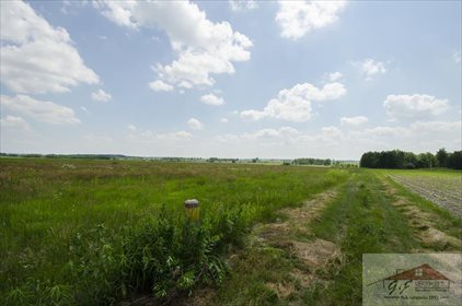 Działka przemysłowo-handlowa na sprzedaż Moszczanica 53 900m2 Foto 4
