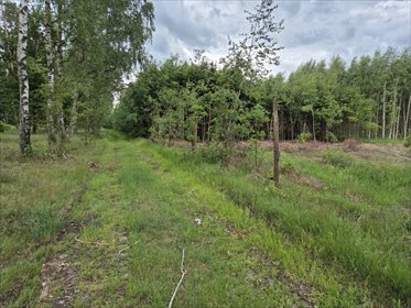 Działka 20ha z lasem i warunkami zabudowy - zapraszam działka Wapnica