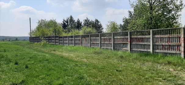 Działka inwestycyjna na sprzedaż Tomaszów Mazowiecki, Wola-Wiaderno 8 399m2 Foto 3