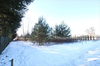 działka na sprzedaż 15200m2 działka Dąbrowa