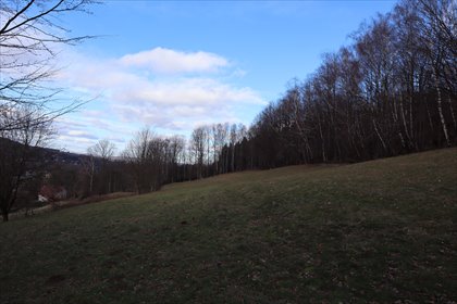 Widokowa działka budowlana (4706 m²) w Brennej Pinkas działka Brenna, Pinkas