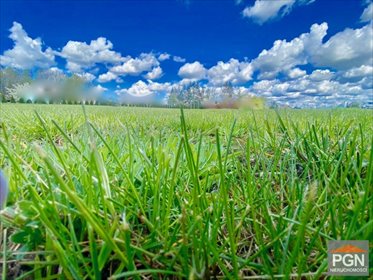 działka na sprzedaż 1505m2 działka GRYFICE OKOLICA