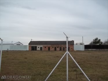 Magazyn na sprzedaż Henrysin 31 400m2 Foto 3