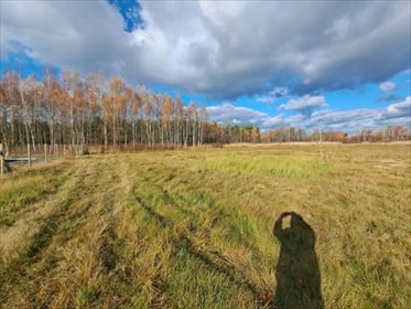 działka na sprzedaż 3500m2 działka Kolbuszowa, Kolbuszowa Dolna, Sosnowa