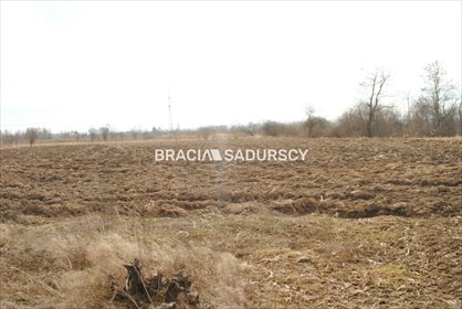 Działka budowlana na sprzedaż Kraków, Nowa Huta, Igołomska 50 952m2 Foto 3