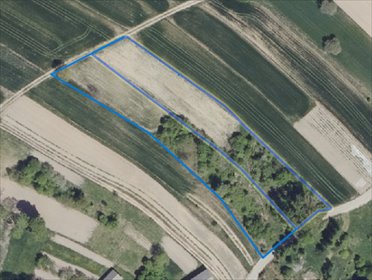 działka na sprzedaż 5200m2 działka Sobieska Wola Pierwsza