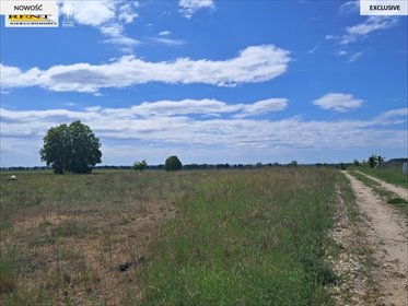 działka na sprzedaż 1139m2 działka Witkowo Pierwsze