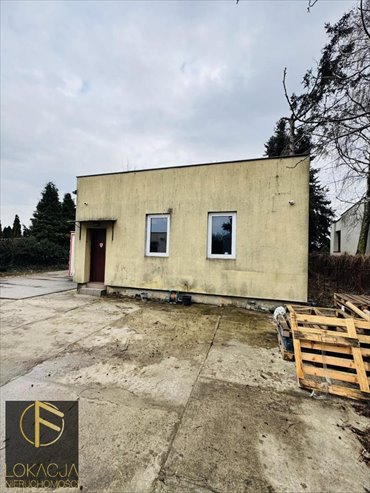 lokal użytkowy na wynajem 100m2 lokal użytkowy Kalisz