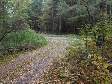 Działka rolna na sprzedaż Węgliska, Rakszawa 17 200m2 Foto 4