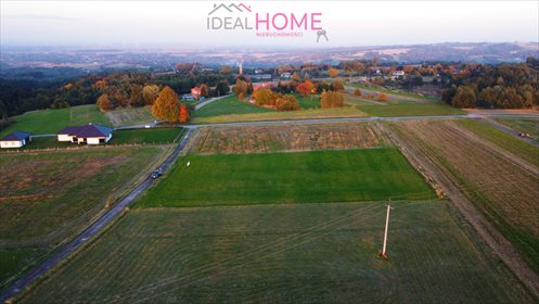 Działka rolna na sprzedaż Wola Rafałowska 3 900m2 Foto 3