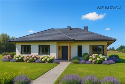 Dom z widokiem i dużą działką – idealny dla Ciebie! dom Dmosin