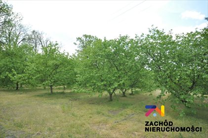 Lokal użytkowy na sprzedaż Jeninek 150m2 Foto 5