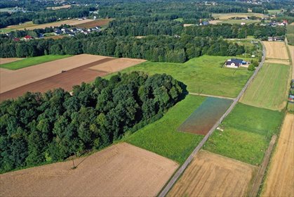 Do sprzedania działka 952 m² w Pisarzowicach z możliwością zabudowy działka Pisarzowice, Bukowa