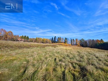 działka na sprzedaż 7000m2 działka Lutcza