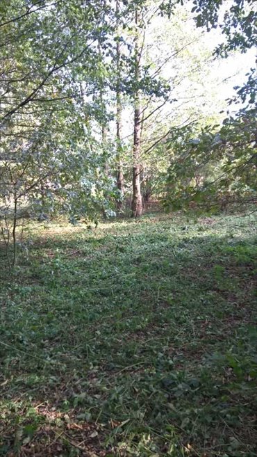 działka na sprzedaż 2880m2 działka Miękinia, Zabór Wielki