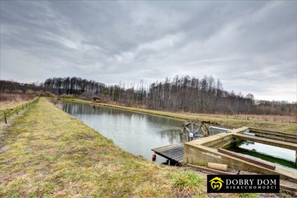 działka na sprzedaż 7382m2 działka Krynki