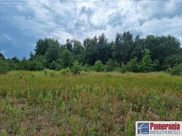 Duża działka 26 721 m² w Szczecinie - zapraszam działka Szczecin, Kijewo