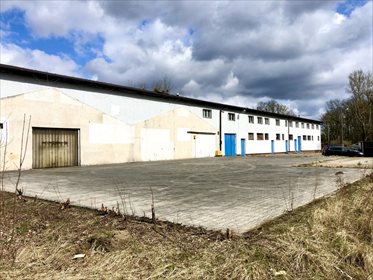 Lokal użytkowy na sprzedaż Owińska, ks. Antoniego Piotrowskiego 2 200m2 Foto 4