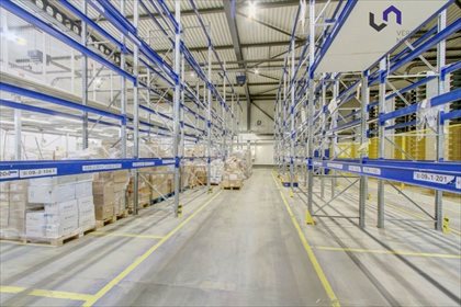 Na wynajem przestronna hala magazynowa 5708 m² z dokami i parkingiem lokal użytkowy Katowice, Brynów