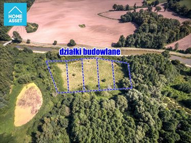 działka na sprzedaż 26196m2 działka Krasin