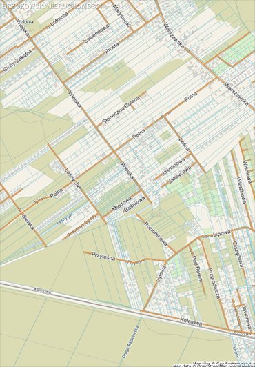 działka na sprzedaż 35000m2 działka Olszewnica Stara