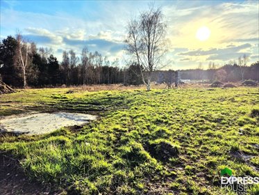 działka na sprzedaż 1339m2 działka Miękinia, Willowa