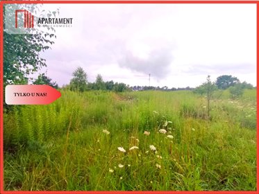 działka na sprzedaż 3000m2 działka Zblewo