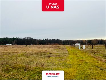 działka na sprzedaż 3001m2 działka Grzepnica