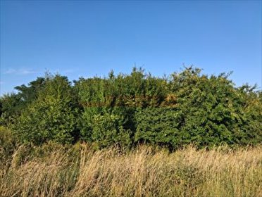 działka na sprzedaż 2349m2 działka Kościerzyce