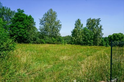 Działka 14 510 m² z warunkami zabudowy - zapraszam działka Suliszew