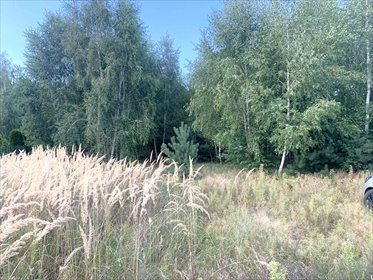 Zapraszam do zakupu działki 1024 m² w Grabieńcu, las i media działka Grabieniec, Grabieniec, Leśna Polana