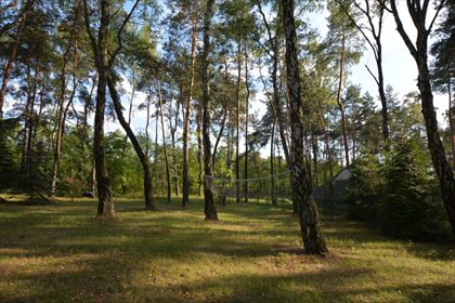Działka rekreacyjna na sprzedaż Dąbrowa Górnicza, Pogoria 2 433m2 Foto 4