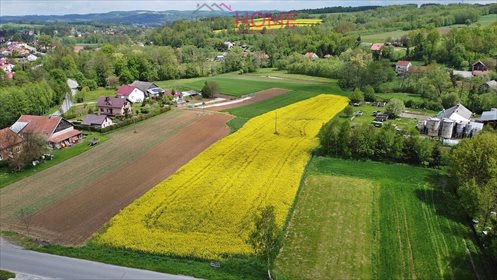 Działka budowlana na sprzedaż Wysoka Strzyżowska 4 300m2 Foto 7