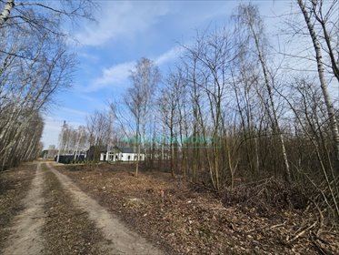 działka na sprzedaż 1500m2 działka Szczęsne