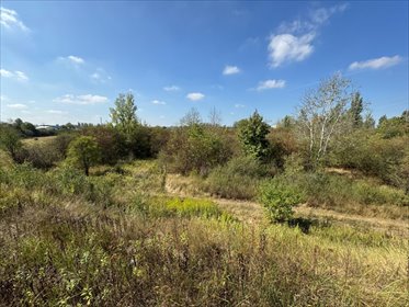 działka na sprzedaż 5772m2 działka Warszawa, Białołęka, Przykoszarowa i Szlachecka