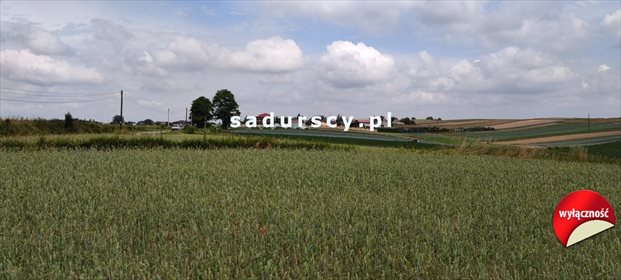 działka na sprzedaż 6150m2 działka Glewiec