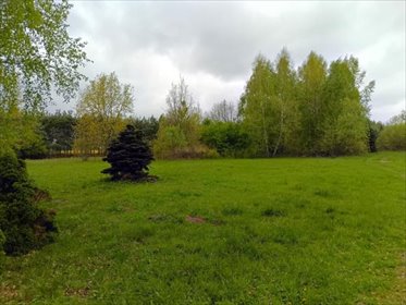 działka na sprzedaż 58800m2 działka Smogorzewo Pańskie