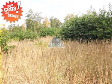 działka na sprzedaż 9849m2 działka Krąpiel