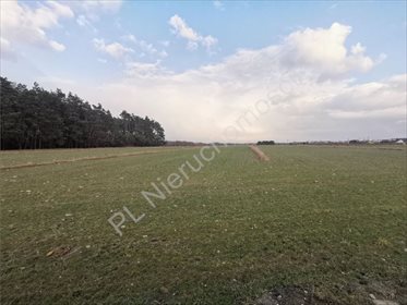 działka na sprzedaż 65000m2 działka Krze Duże