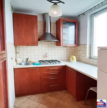 mieszkanie na wynajem 30m2 mieszkanie Sosnowiec, Sielec