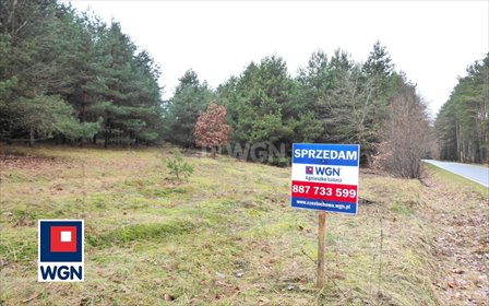 działka na sprzedaż 9870m2 działka Skrajnica, Księżycowa