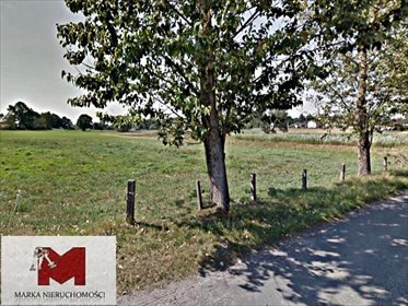 Działka budowlana na sprzedaż Pociękarb, Główna 10 310m2 Foto 1
