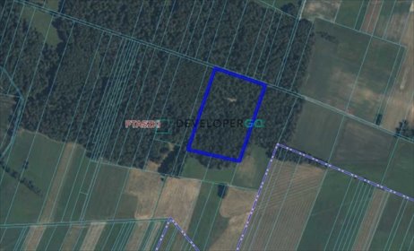 Działka leśna 2,65 ha w Ptaszkach – idealna na inwestycję działka Ptaszki