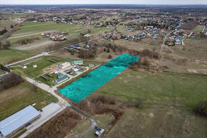działka na sprzedaż 9750m2 działka Dębe Wielkie, Zielona