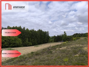Działka 1502 m² w Dylewie (las, wędkarstwo, cisza) działka Dylewo