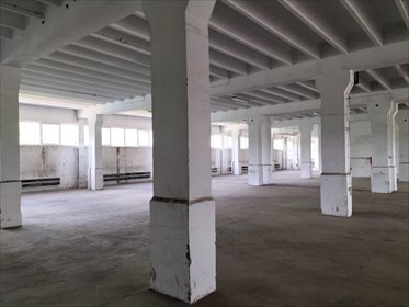 Magazyn na wynajem Będzin, Gen. Tadeusza Kościuszki 3 230m2 Foto 3