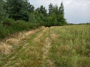 Działka rolna na sprzedaż Promna-Kolonia, Promna 11 400m2 Foto 1