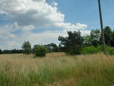 Działka budowlana na sprzedaż Podbolesławiec 3 660m2 Foto 4