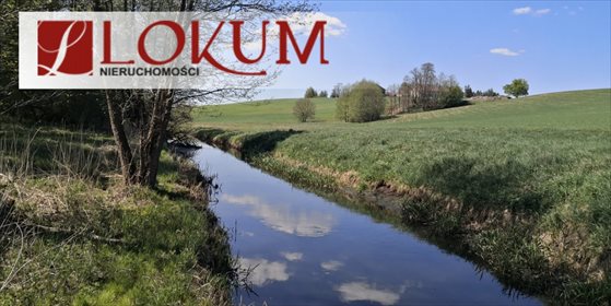 Działka budowlana na sprzedaż Biały Bukowiec 59 600m2 Foto 1