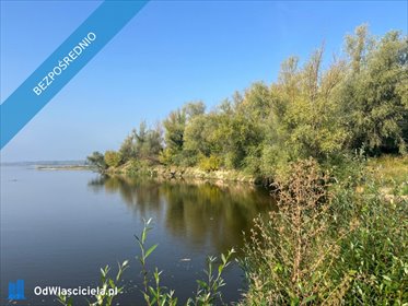 Do sprzedania działka 5000 m² z WZ i dostępem do drogi i wody działka Brzumin